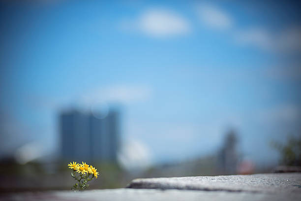 istock The Derelict Graving Docks at Govan, Glasgow 474522262