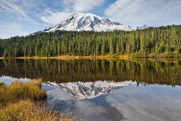 Mount Rainier and Reflection Lakes in the Fall Mount Rainier at 14,410' is the highest peak in the Cascade Range. This iconic view was taken from Reflection Lakes in Mount Rainier National Park. The image shows the ancient volcano reflected in the glassy surface of the lake. jeff goulden inspiration stock pictures, royalty-free photos & images