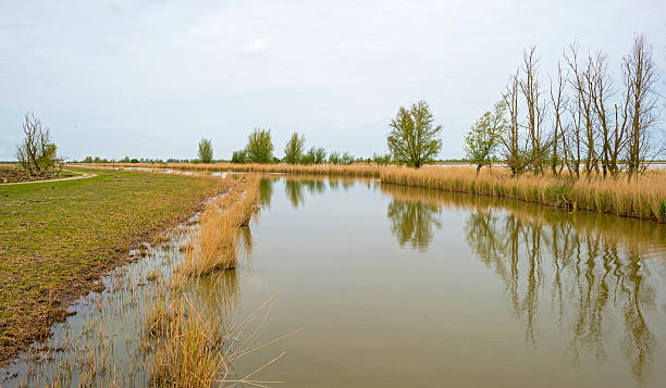 istock The shore of a river in spring 474533798