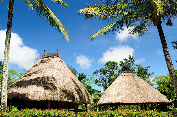 istock Ethnic straw village on an Timor island 474545784