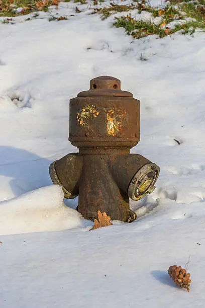 Photo of Lavished snow hydrant