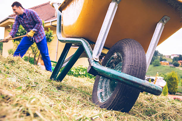 istock Wheelbarrow in the field and man raking on background 474548586