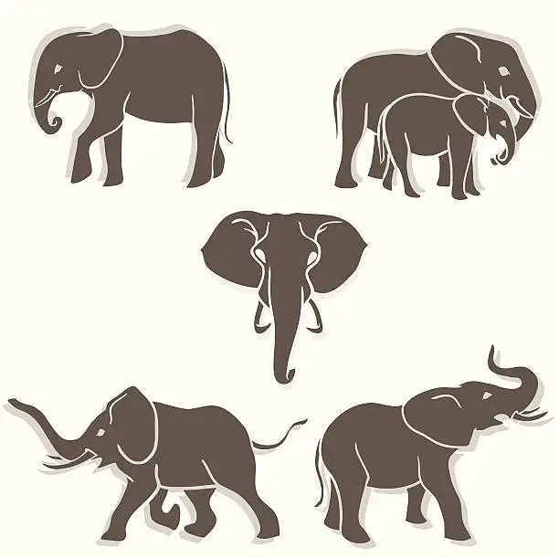 Vector illustration of Set of elephants b&w