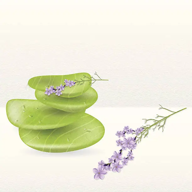 Vector illustration of Realistic spa jade stones with lavender herbal plant