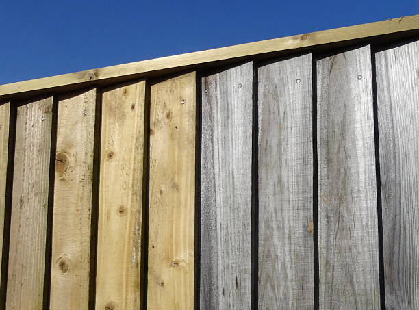istock Image of overlapping featheredge fence panels, old and new side-by-side 474558344