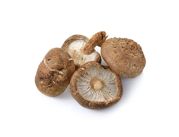 istock Shiitake mushroom on the White background 474561288