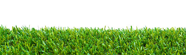 istock Close up of golf green grass 474561401
