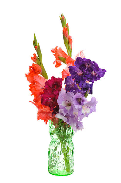 istock bouquet of gladioluses 474561627