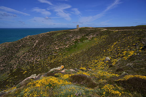 istock Les Landes, Jersey, U.K. 474561852