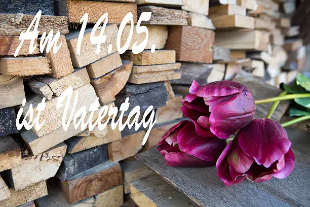 red tulips in front of a stack of wood with the german text: Am 14.05. ist Vatertag (fathers day is on 14.05.)