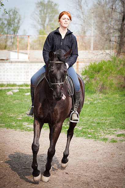 garota passeios a cavalo-imagem stock - white purebred horse riding sports traditional sport - fotografias e filmes do acervo