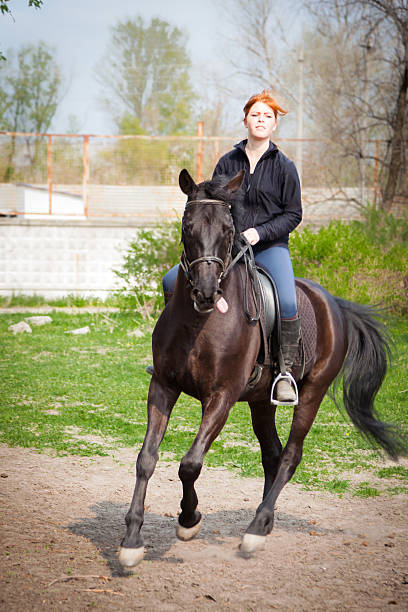 garota passeios a cavalo-imagem stock - white purebred horse riding sports traditional sport - fotografias e filmes do acervo