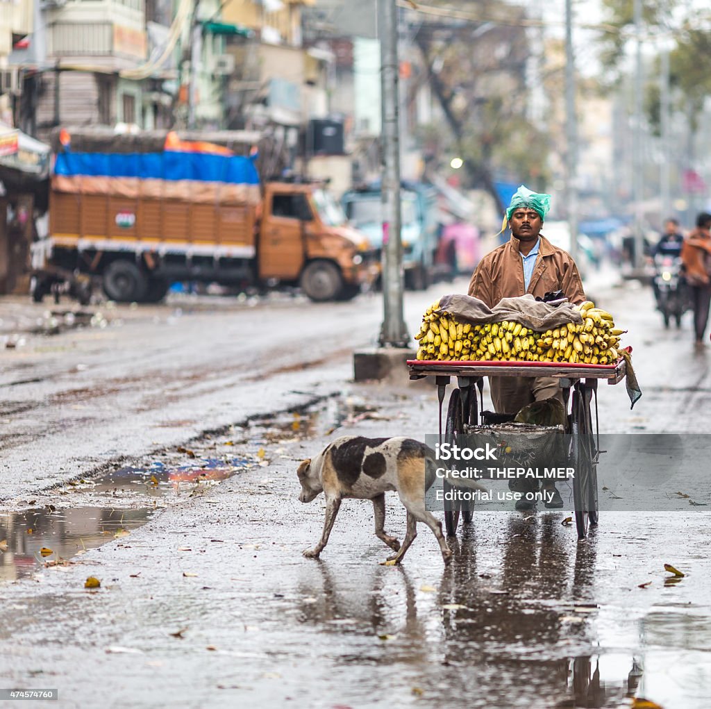 Pushing a cart of ripe bananas Old Delhi, India- March 1, 2015: A banana seller pushes his cart thru the streets of Old Delhi minutes after it stopped raining 2015 Stock Photo