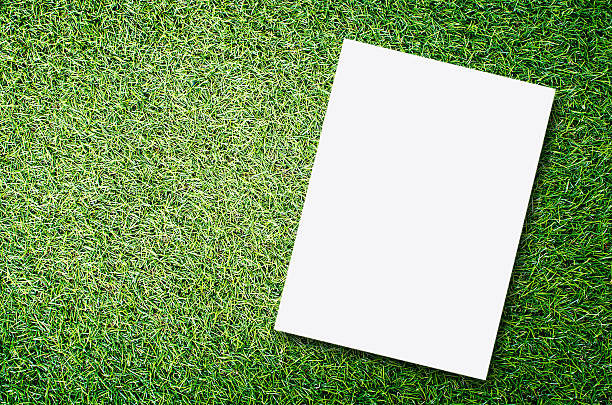 istock White paper on green field 474578686