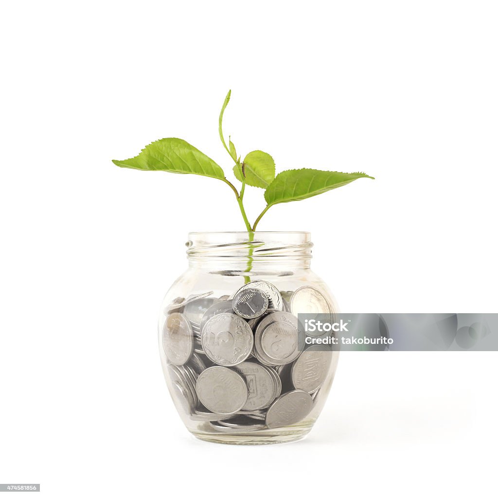 bank,piggy bank,Money,Coins Sprout growing on glass piggy bank  isolated on white 2015 Stock Photo