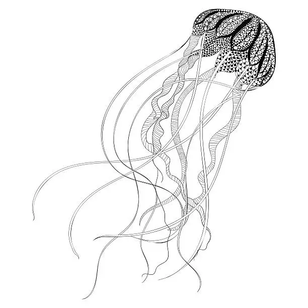 Vector illustration of Black Jellyfish. Hand Drawn vector illustrati