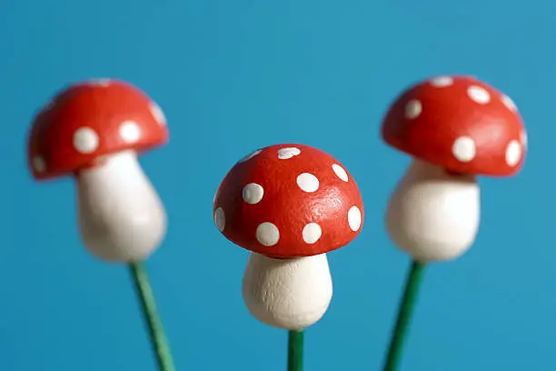 mushrooms as a symbol of luck