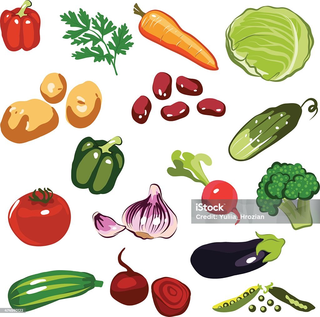 Fresh Vegetable Vector Fresh Vegetables Vector Concept Stock Illustration - Download Image Now ...