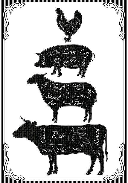 ilustrações de stock, clip art, desenhos animados e ícones de diagrama de corte carcaças de frango, porco, vaca, carneiro - carne talho