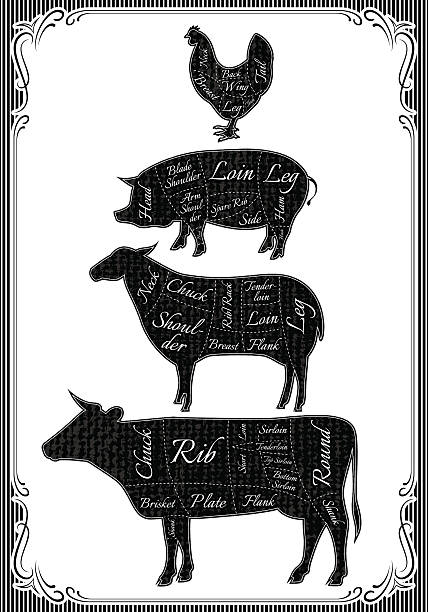 диаграмма резания тушек из курицы, свинья, корова, lamb - pig pork ham meat stock illustrations