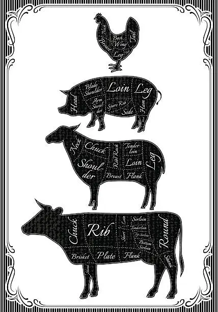 Vector illustration of diagram cut carcasses of chicken, pig, cow, lamb