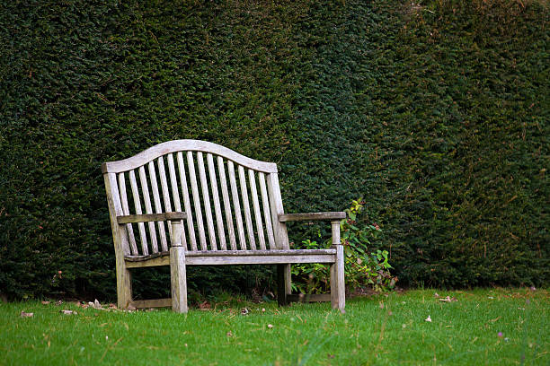 Old wooden bench in garden stock photo