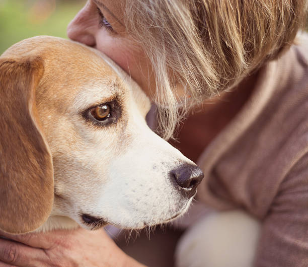 istock Active senior woman hugs dog 474597623