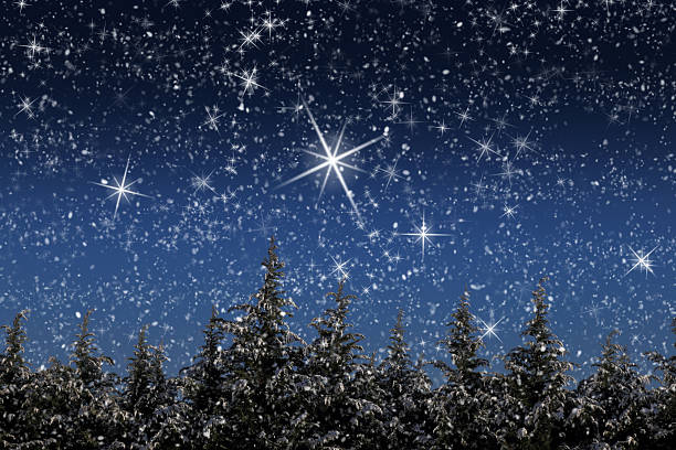 istock Beautiful winter landscape with snow covered trees at night 474597793
