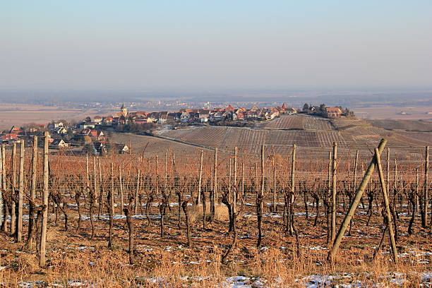 istock Zellenberg in the vineyard of Alsace 474598095