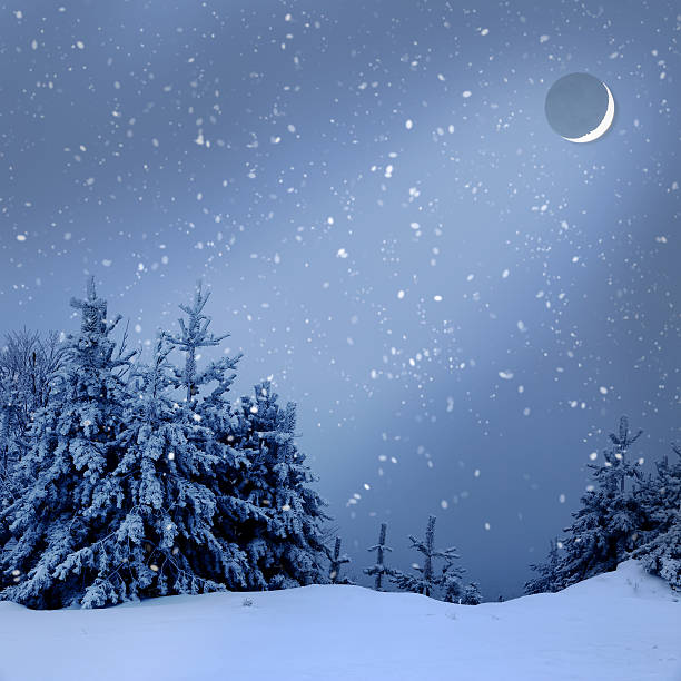istock Beautiful winter landscape with snow covered trees at night 474598227