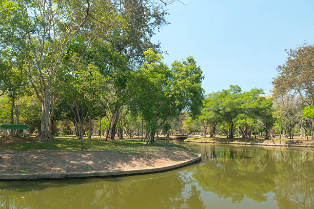 istock Lake in the summer park 474600979