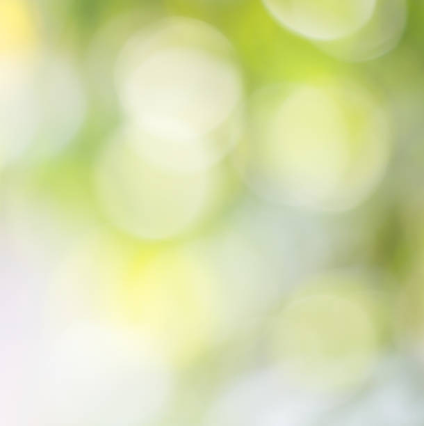 istock Natural blur bokeh and colorful abstract background  in green 474602207