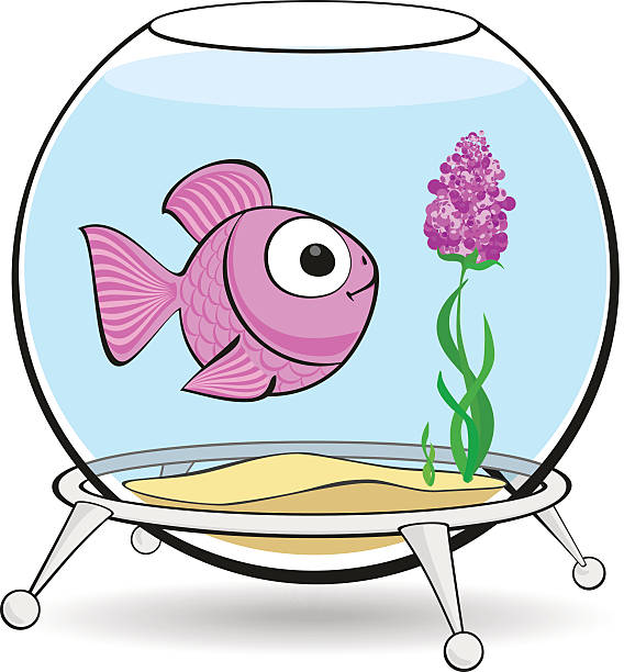 pink fish in fishbowl Lonely pink fish is looking at the flower in the aquarium cartoon of fish with lips stock illustrations