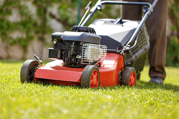 istock Gardener mowing the lawn 474603076