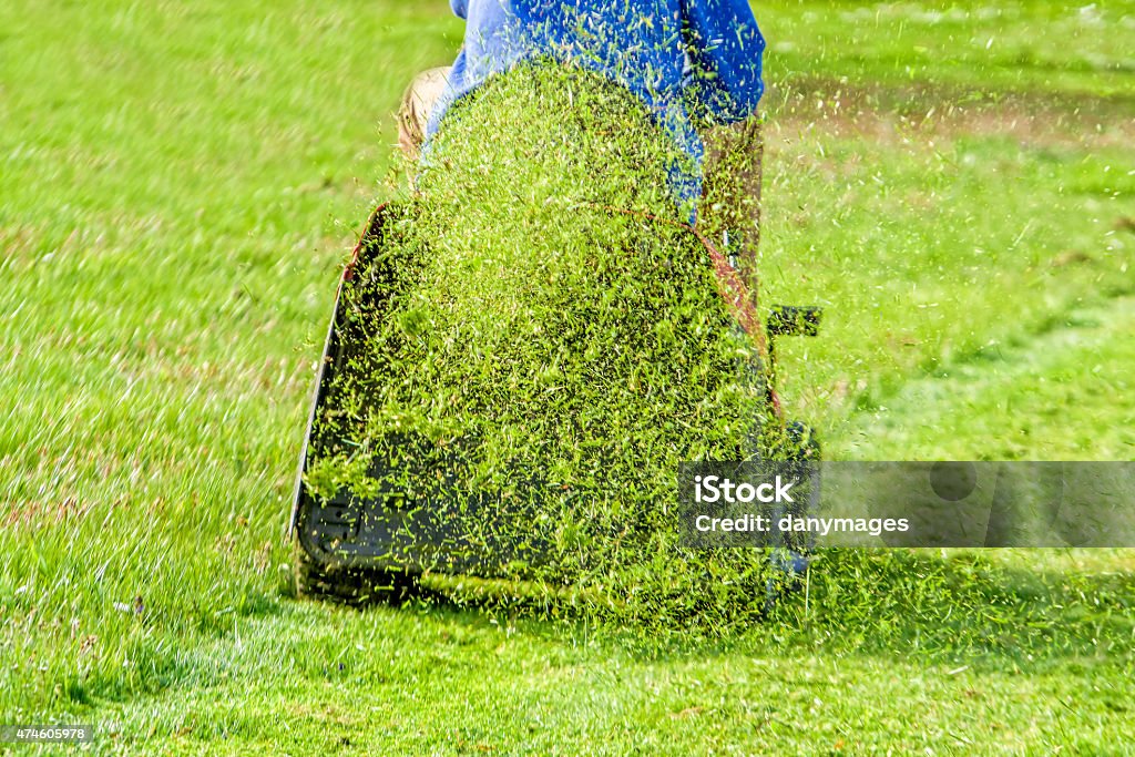 lawnmower a lawnmower cutting the grass 2015 Stock Photo