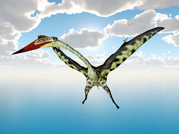 istock Pterosaur Quetzalcoatlus 474606160