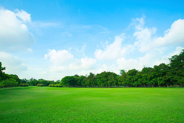 istock green grass field in public park 474606244