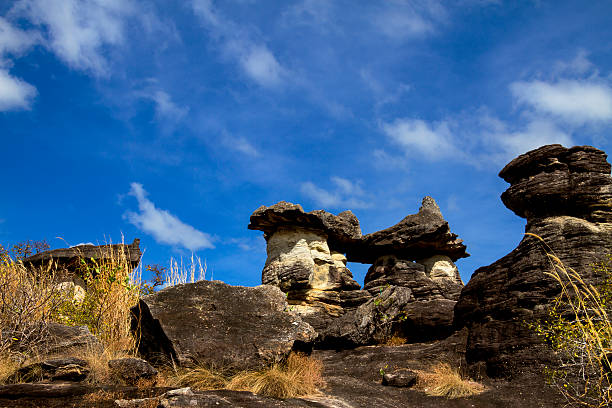 istock Monster with mushroom stone 474606298