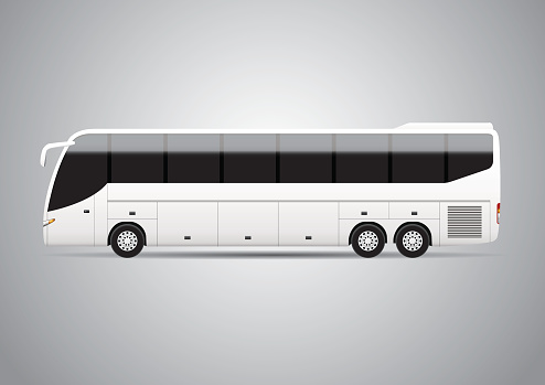 Bus - Vector