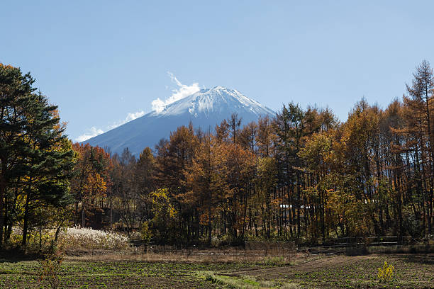 istock Mt.Fuji in autumn, Japan 474608322
