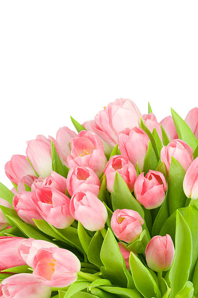 istock Bouquet of tulips 474608504