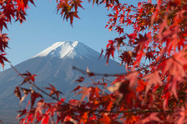 istock Mt.Fuji in autumn, Japan 474611190
