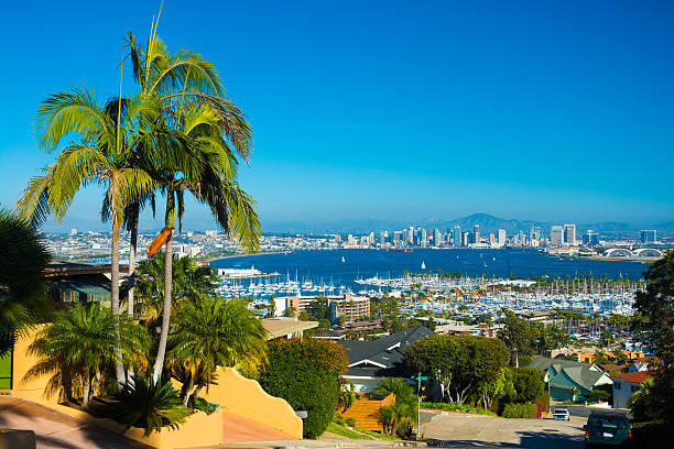 san diego vista aérea com palm tree - san diego california skyline california san diego bay imagens e fotografias de stock