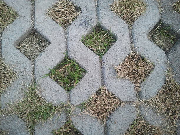 istock Moss trying to grow inbetween cobbled pavement 474612220