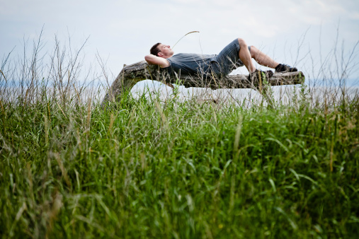 Young Adult Relaxing in Nature and Lying on a Tree Peacefully