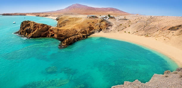 Lanzarote Papagayo turquoise beach and Ajaches Lanzarote Papagayo turquoise beach and Ajaches in Canary Islands finch photos stock pictures, royalty-free photos & images