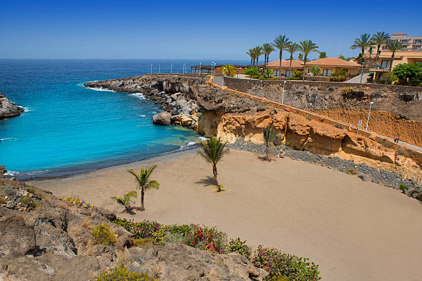istock Beach Playa Paraiso costa Adeje in Tenerife 474619434