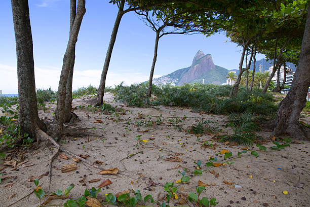 istock Rio de Janeiro Ipanema Beach Brazil 474619740
