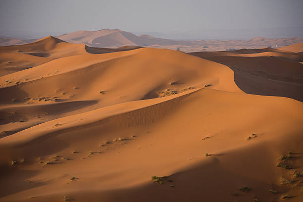 istock Erg Chebbi dunes in Moroccan Sahara Desert at sunrise 474623918