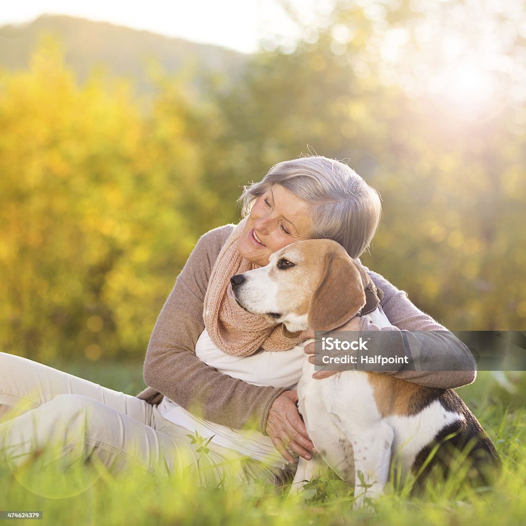 Active senior woman hugs dog Senior woman hugs her beagle dog in countryside 60-69 Years Stock Photo